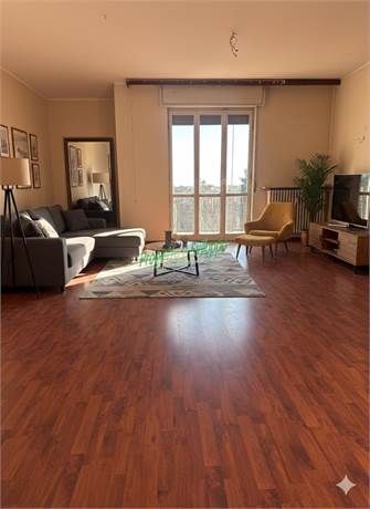 solone - ipotesi arredo